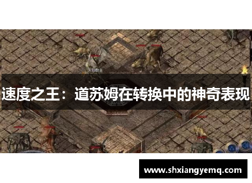 速度之王：道苏姆在转换中的神奇表现