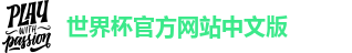 2026年世界杯